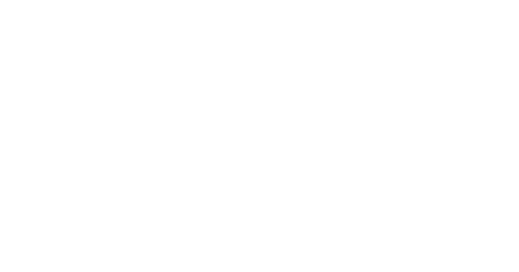 intergestion-logo-blanc